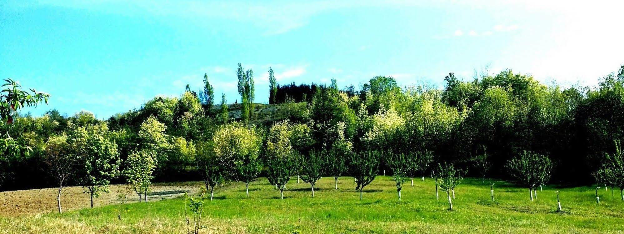Tenuta Valdorso - Agri Resort 몬테클리포네 외부 사진